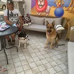 Ξενοδοχείο Pet Virginia - Per Cani