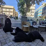 Pet Virginia - Per Cani 3*