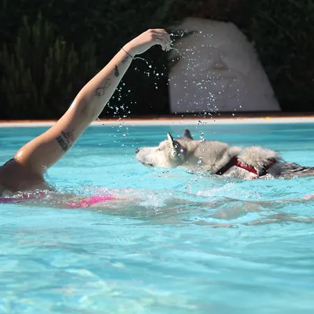 Hotel Pet Virginia - Per Cani 3*