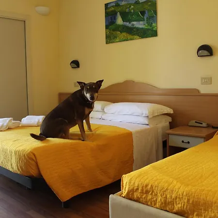 Pet Virginia - Per Cani 3* Ρίμινι