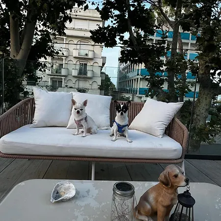 Hotel Pet Virginia - Per Cani Rimini