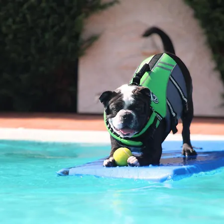Pet Virginia - Per Cani Hotel 3*
