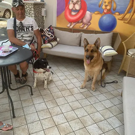 Hotel Pet Virginia - Per Cani