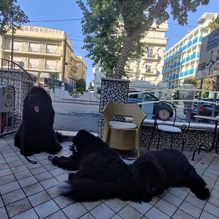 Pet Virginia - Per Cani 3*