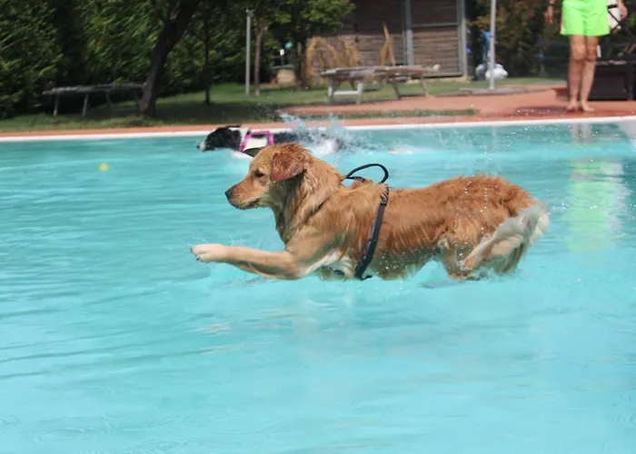 Szálloda Pet Virginia - Per Cani 3*