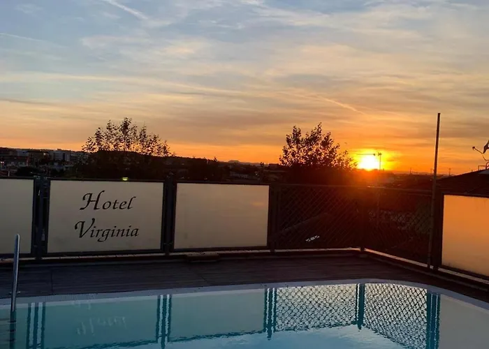 Pet Virginia - Per Cani Szálloda Rimini