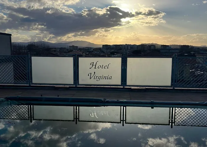 Pet Virginia - Per Cani Rimini