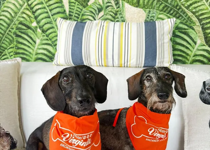 Pet Virginia - Per Cani