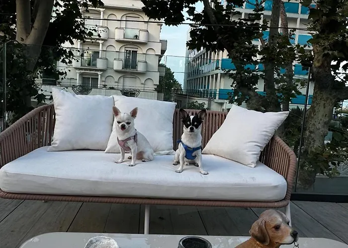Szálloda Pet Virginia - Per Cani Rimini