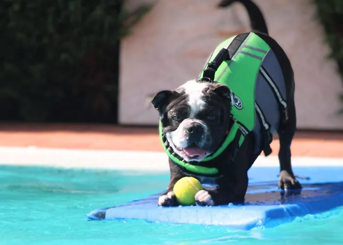 Pet Virginia - Per Cani Szálloda 3*