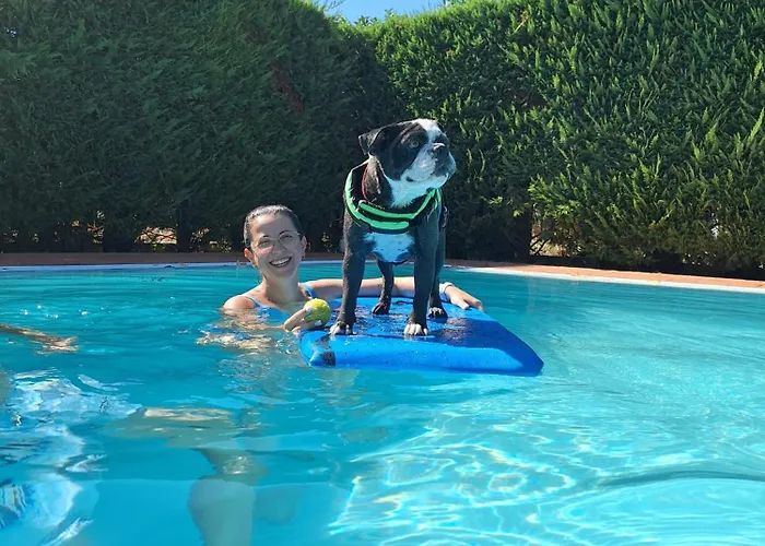 Pet Virginia - Per Cani 里米尼