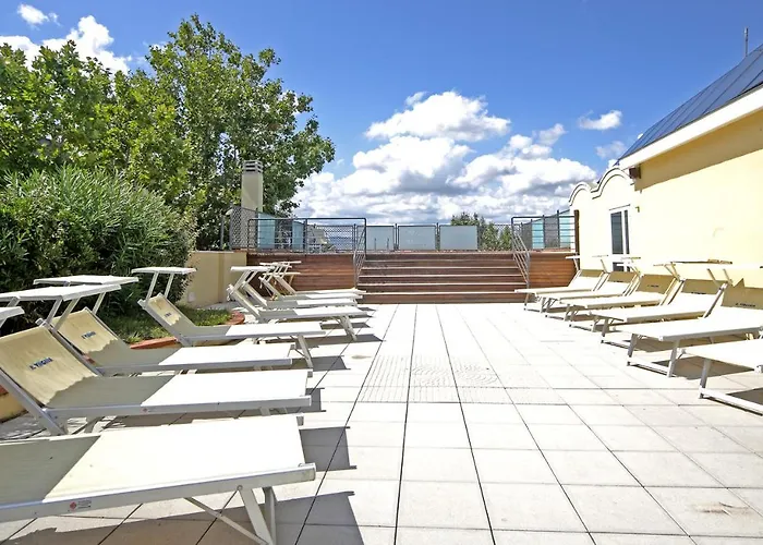 Pet Virginia - Per Cani 里米尼