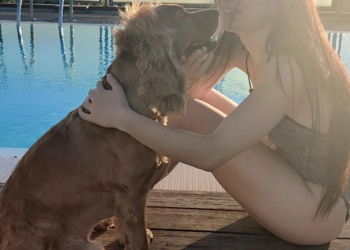 Pet Virginia - Per Cani ホテル リミニ