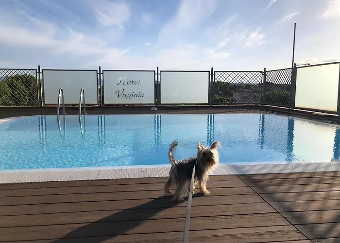酒店 Pet Virginia - Per Cani 里米尼