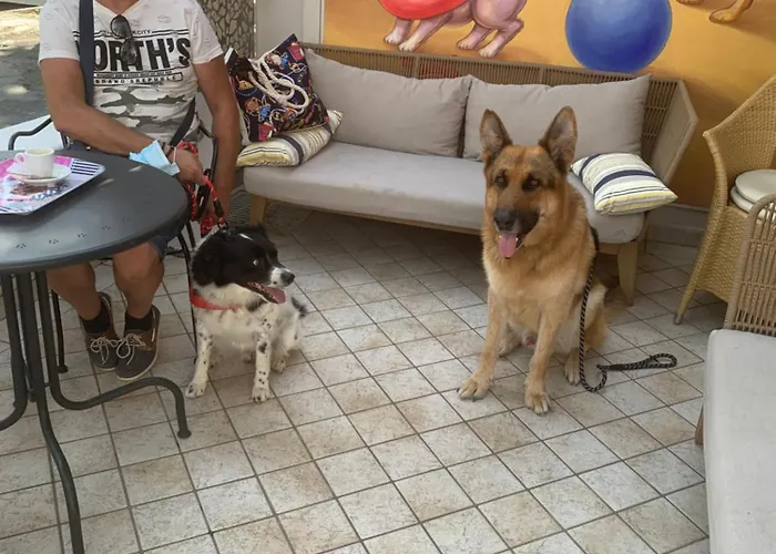 Szálloda Pet Virginia - Per Cani