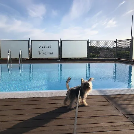 מלון Pet Virginia - Per Cani רימיני