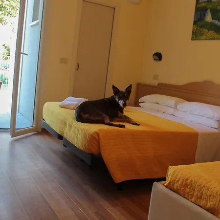 מלון Pet Virginia - Per Cani 3*