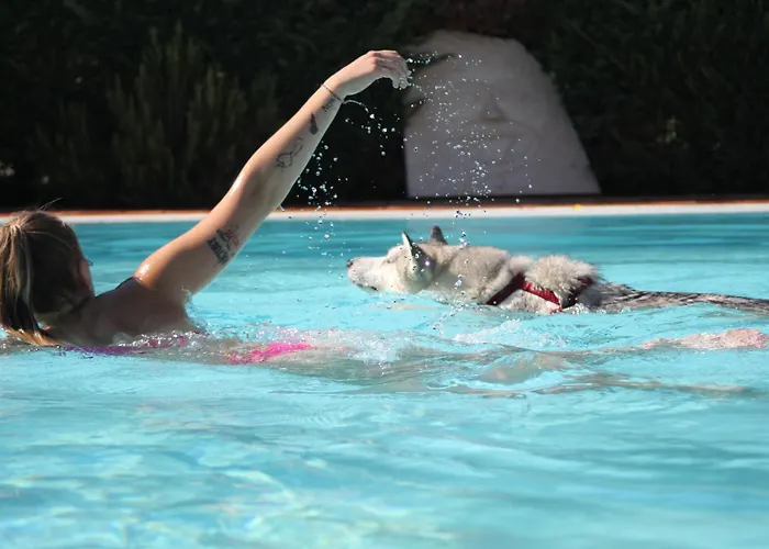 מלון Pet Virginia - Per Cani 3*