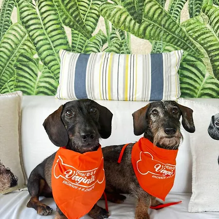 Pet Virginia - Per Cani