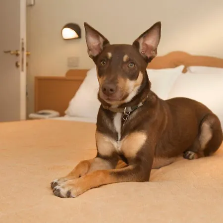 Pet Virginia - Per Cani 3*