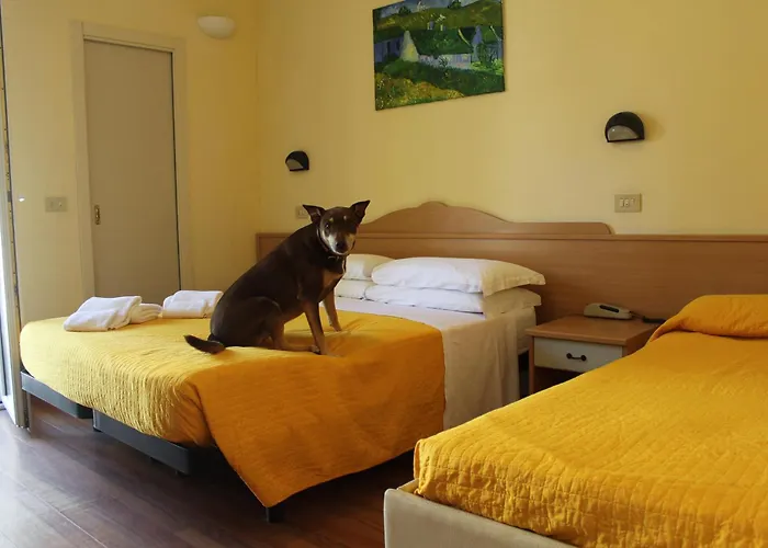 Pet Virginia - Per Cani 3* Ρίμινι