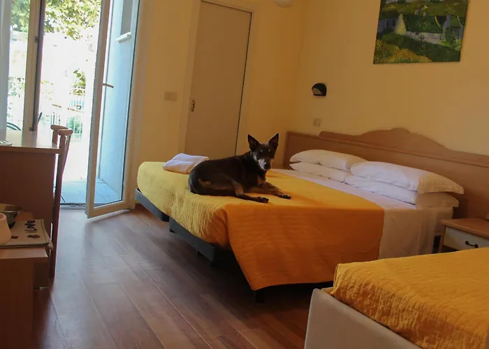 Ξενοδοχείο Pet Virginia - Per Cani 3*