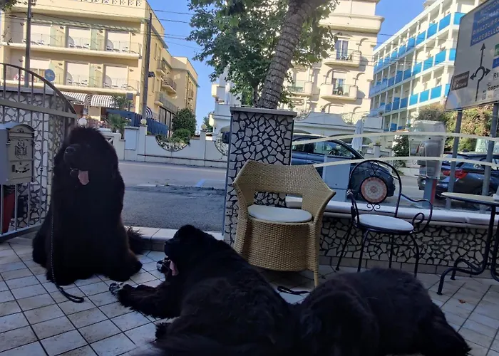 Pet Virginia - Per Cani 3*